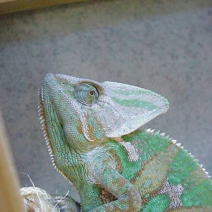 Bob, 6 Months