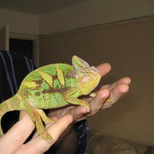 spike4.jpgSmall