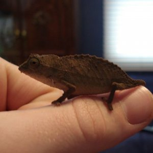 DSC02557