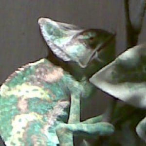 Image020
