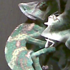 Image022
