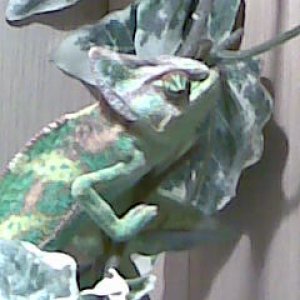 Image024