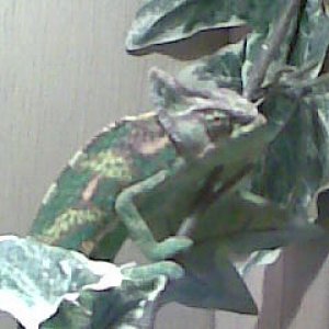 Image058_308208