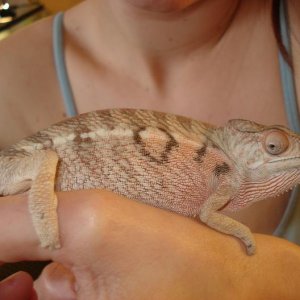 this is izzy