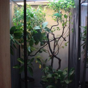 cages