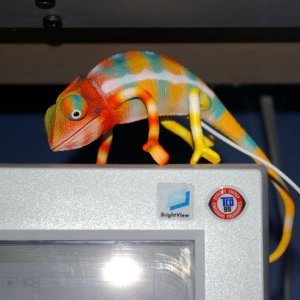 IMGP5876