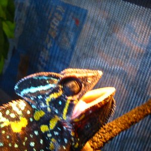 The Eye Of Female Veile Done Surgery On Is Sunken In