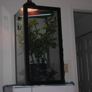 Cage 011