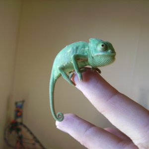 This Is My Younger Guy, Pretty Cute Huh