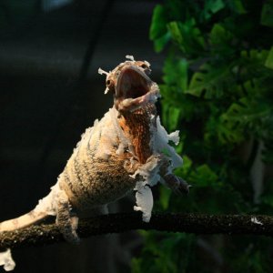 Freya Having A Bad Hair Day :p