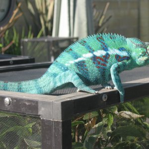 Img 0496
