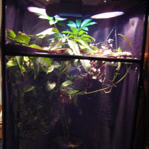 My 175 Gal Cage 29x29x48