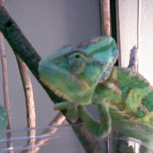 Image007