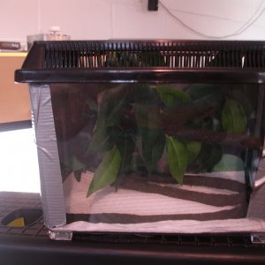 Vet Carrier