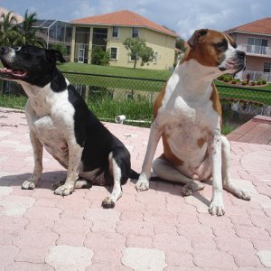 Qt & Kiara