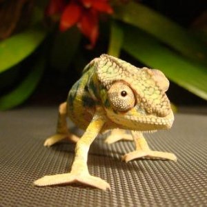 Heyoooo!