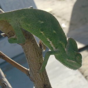 Just Chilling