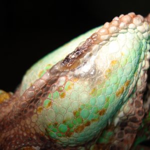 Dsc02754
