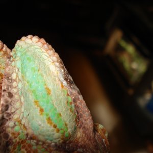 Dsc02756