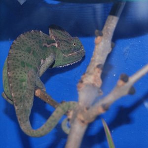 Hanging Out
