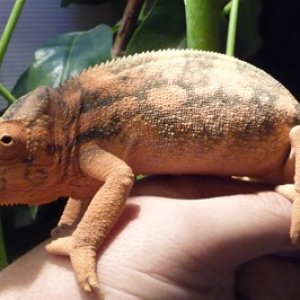 My "pretty Girl"