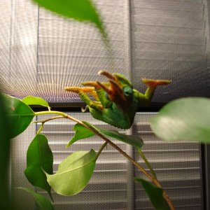 Dsc00156