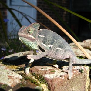 Basking :)