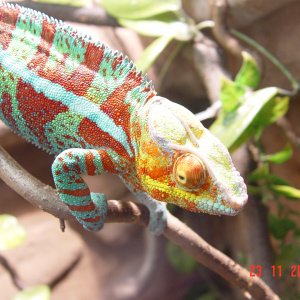 Dsc08041