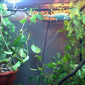 Enclosure ~ Re-vamped
