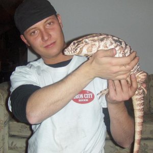 Zeus My Red Tegu & Me