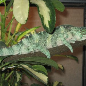 December Pics 042