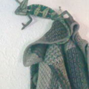 No Its Snakeskin Boots Not Lizard Coats