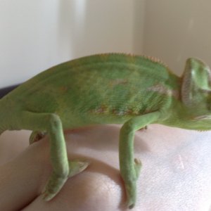 George