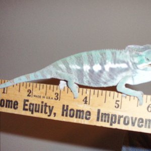 Measurement On 3-2-09