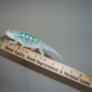 Measurement On 3-22-09
