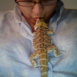 Licky