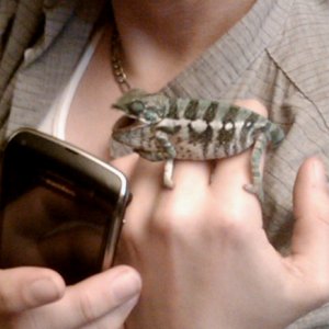 Emit Vs. The Blackberry