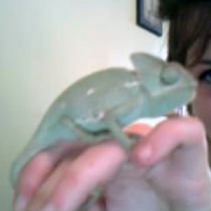 Hortense & Me