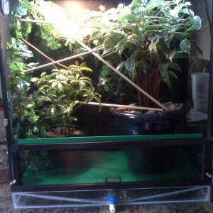 My Enclosure