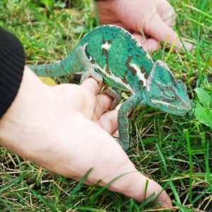 Exploring Outside