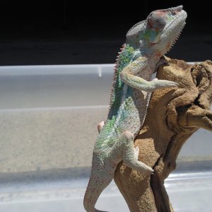 Gettin Some Sun