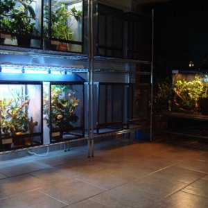 Phase One Of The Cham Rooms