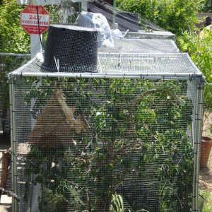 Side View Of Cages