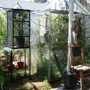 Outdoor Cages