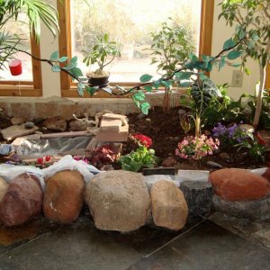Chamelon Garden