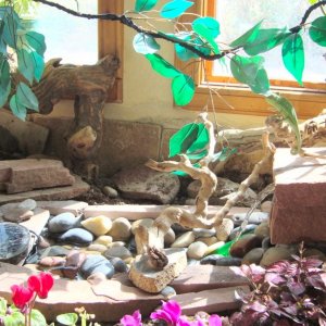 Waterfall/pond