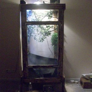 The Cage