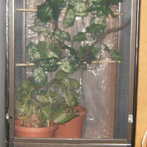 Small Cage For Sale 001
