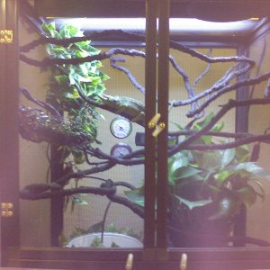 Cage2
