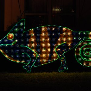 Chameleon Christmas Light